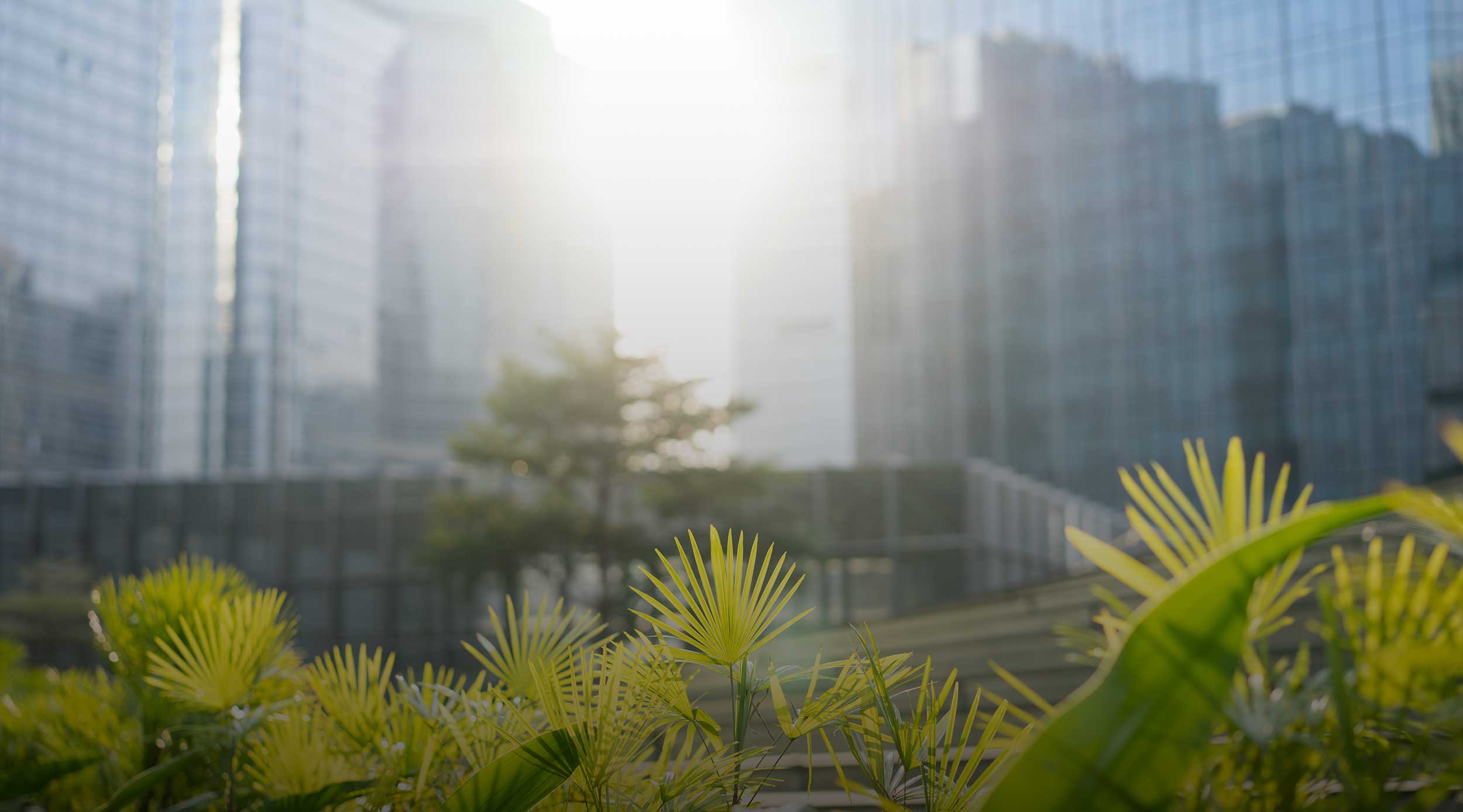 slider durabilte geficca